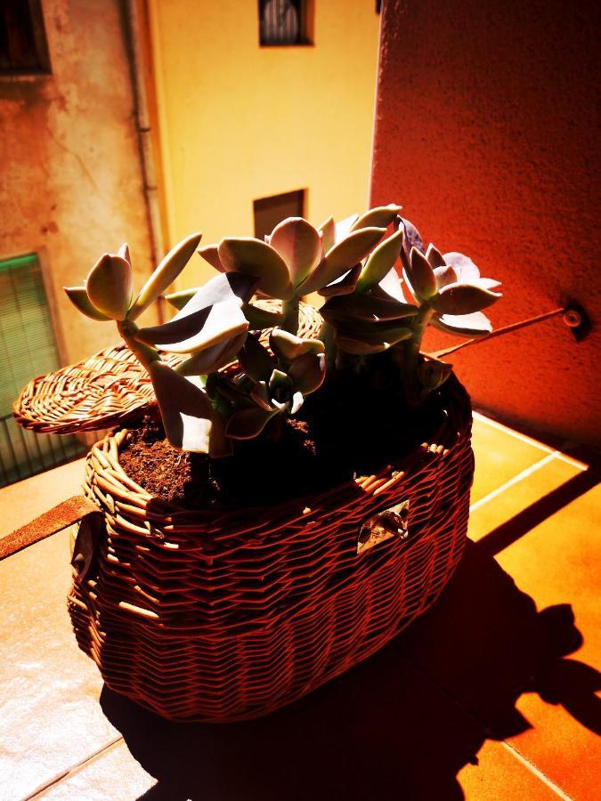 Cornu Karma Apartment Siuranella Cornudella de Montsant Dış mekan fotoğraf